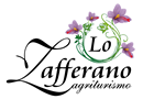 http://www.lozafferano.com